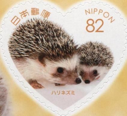Hedgehogs (Erinaceus sp.)