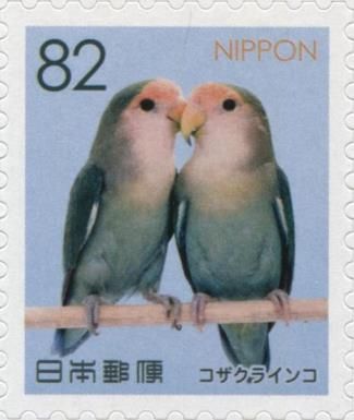 Rosy-faced Lovebirds (Agapornis Roseicollis)