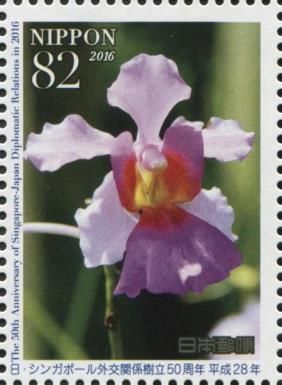 Orchid