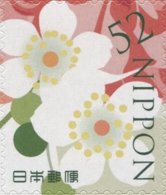 Detail of a Flower Arrangement