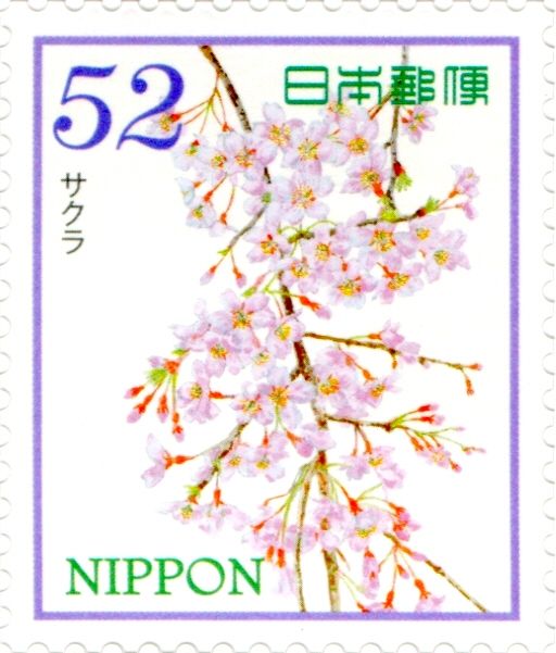 Cherry Blossoms