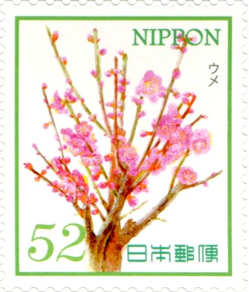 Ume Blossoms