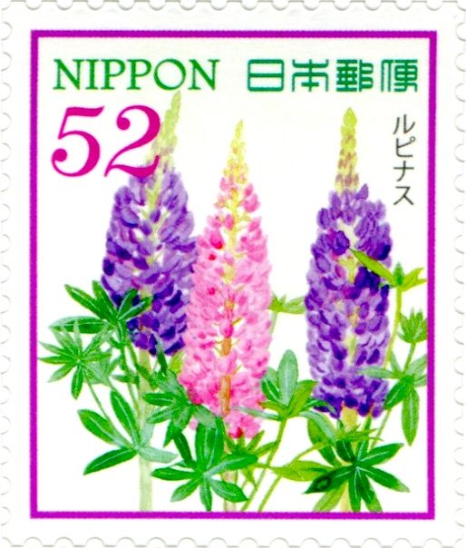 Lupin