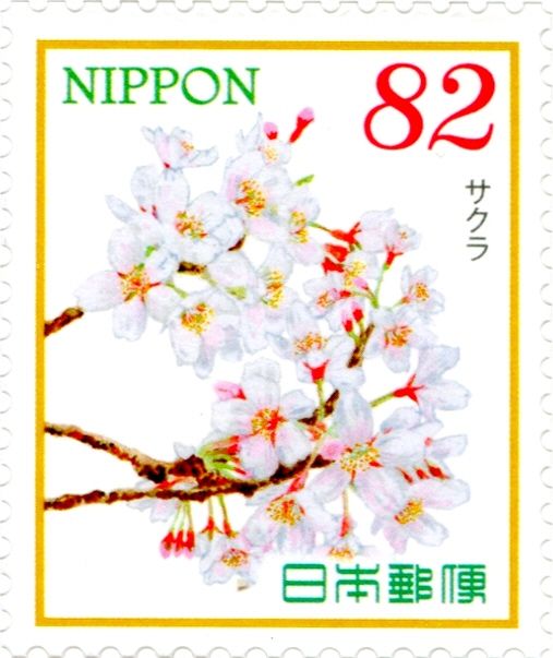 Cherry blossoms