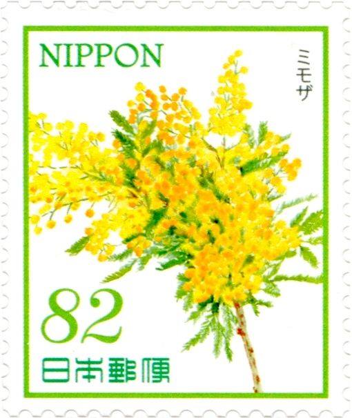 Mimosa