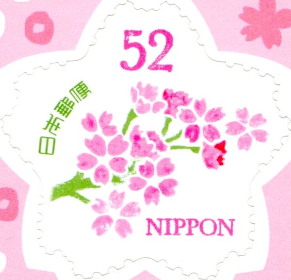 Cherry Blossoms