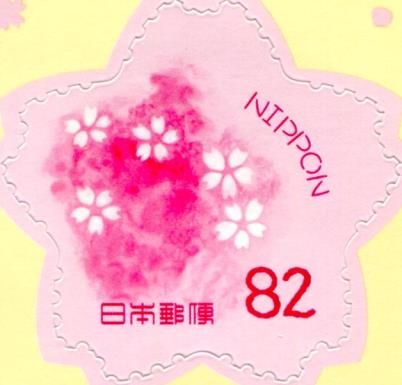 Cherry Blossoms