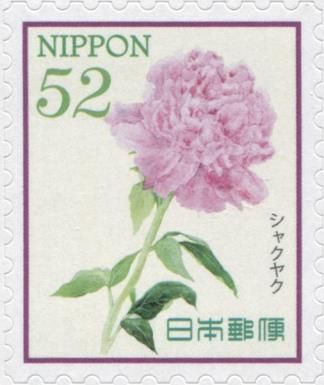 Peony