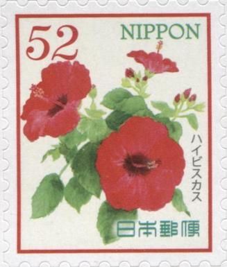 Hibiscus