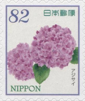 Hydrangeas