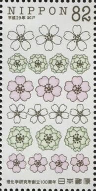 A New Kind of Cherry Blossoms Developed with Heavy Ion Beam