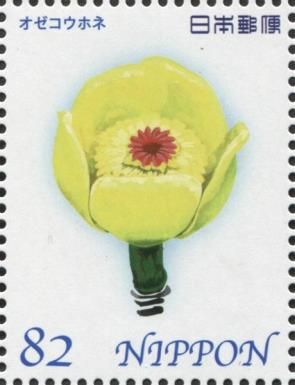 Oze Kouhone