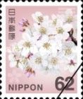 Somei-yoshino Cherry blossom