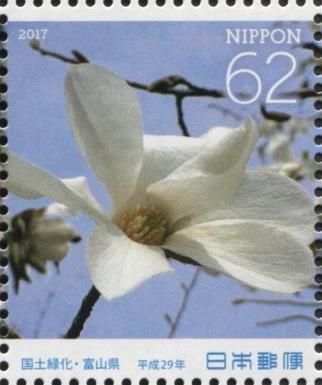 Thurber's Magnolia