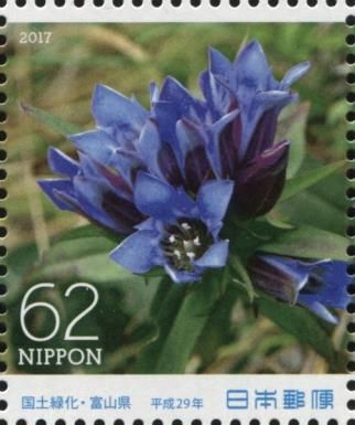 Gentian