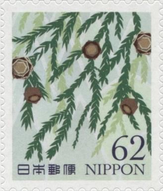 Thuja