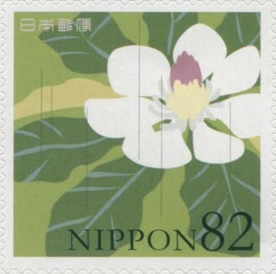Blossom