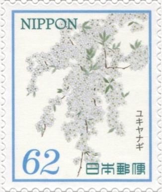 Thunberg's meadowsweet (Spiraea thunbergii)