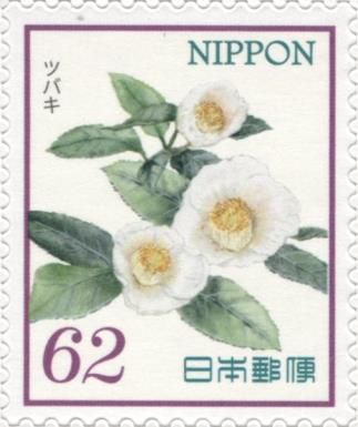 Camellia japonica