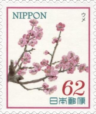 Prunus mume