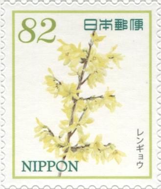 Forsythia