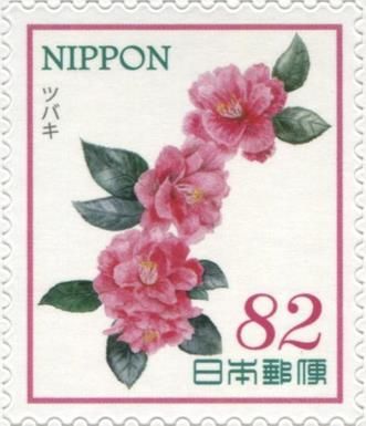Camellia japonica