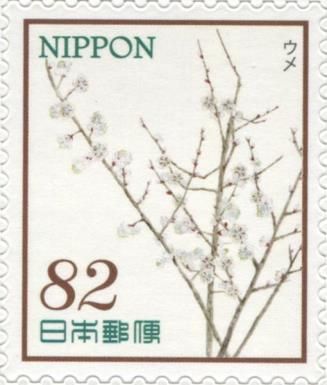 Prunus mume