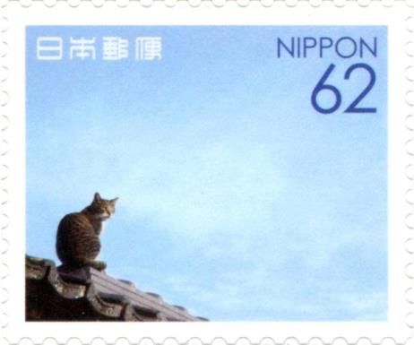 Domestic Cat on Roof Edge