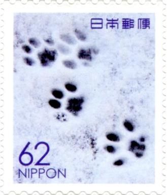 Prints of a Cat's Paw