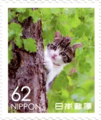 Domestic Cat in a Tree