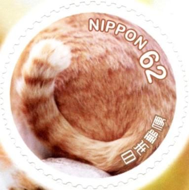 Domestic Cat's Tail