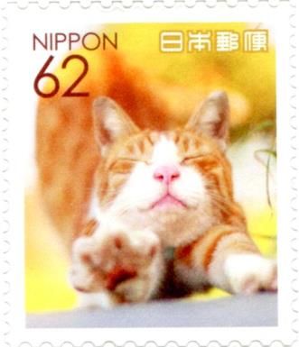 Domestic Cat Stretching