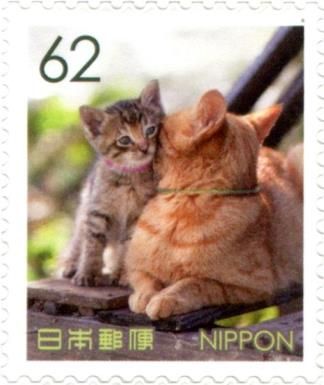 Domestic Cat and Kitten