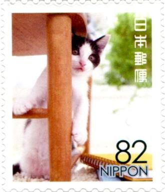 Domestic Cat and Chair Leg