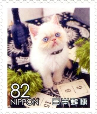 Domestic Creamy Kitten