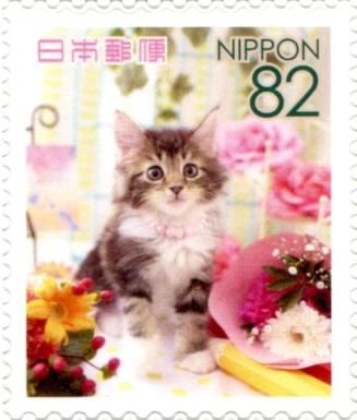 Domestic Kitten among Flowers