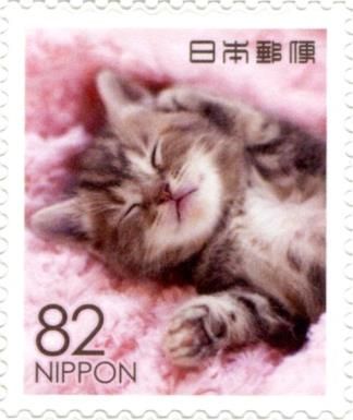 Tabby Kitten Asleep