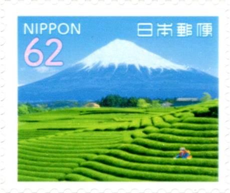 Tea Fields, Mt Fuji