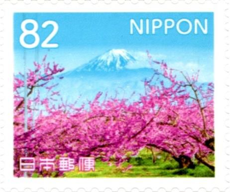 Cherry Trees and Mt Fuji