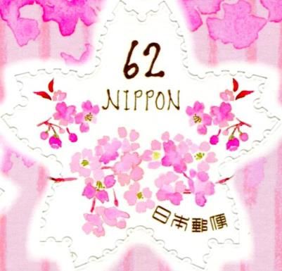 Cherry Blossoms