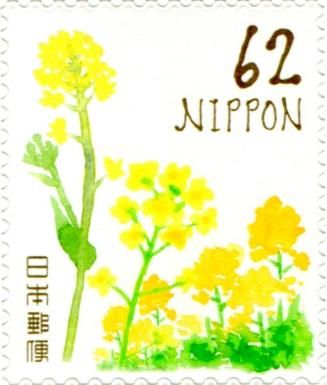 Rapeseed Flowers