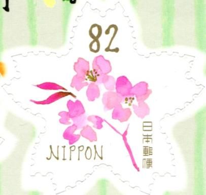 Cherry Blossoms