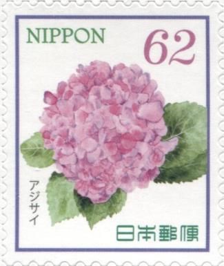 Hydrangea