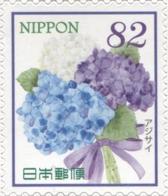 Hydrangea