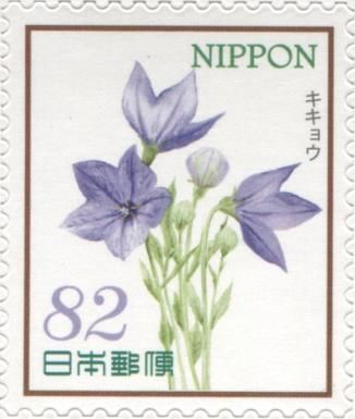 Balloon Flower