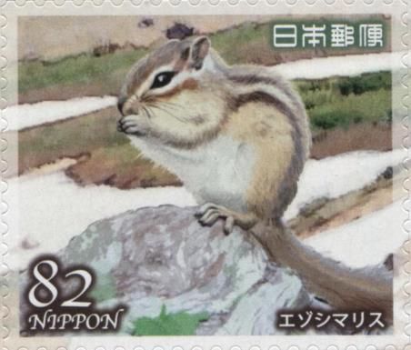 Siberian Chipmunk (Eutamias sibiricus)