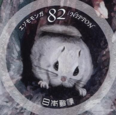 Siberian Flying Squirrel (Pteromys volans)