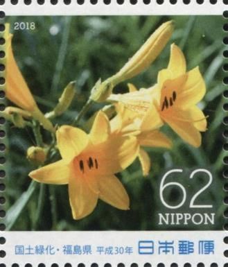 Day Lily (Hemerocallis esculenta)