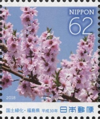Peach Blossoms (Prunus persica)
