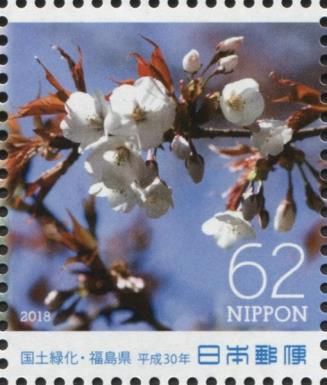 Japanese Cherry (Prunus serrulata)